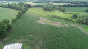 50668 Shorts Road Leonidas, MI 49066 - Photo 15 of 22 Shorts Rd 17