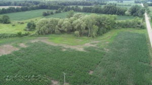 50668 Shorts Road Leonidas, MI 49066 - Photo 16 of 22 Shorts Rd 18