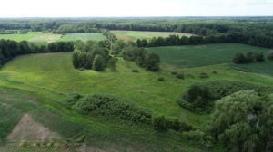 50668 Shorts Road Leonidas, MI 49066 - Photo 20 of 22 Shorts Rd 22