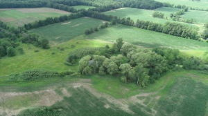 50668 Shorts Road Leonidas, MI 49066 - Photo 9 of 22 Shorts Rd 11