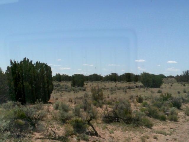 00 Sec18 T16 R28 St. Johns, AZ 85936 - Photo 12 of 16