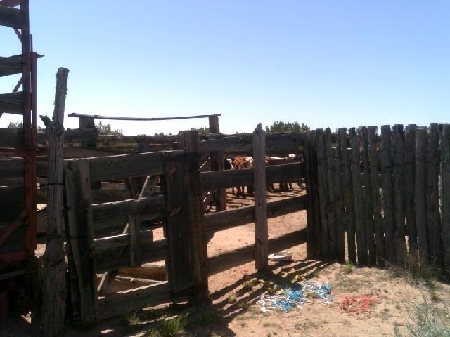 00 Sec18 T16 R28 St. Johns, AZ 85936 - Photo 7 of 16