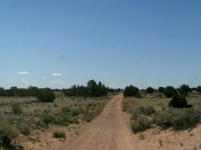 00 Sec18 T16 R28 St. Johns, AZ 85936 - Photo 10 of 16