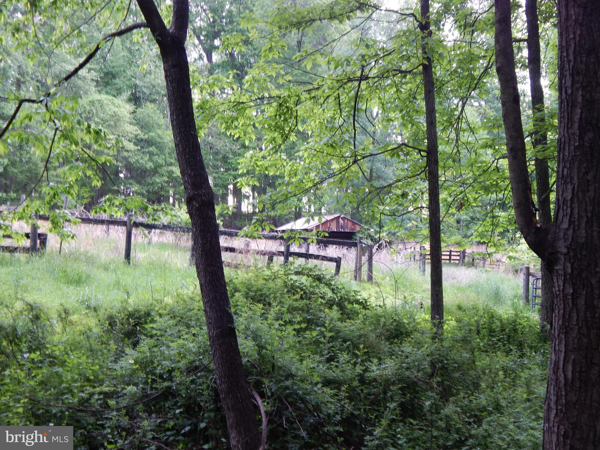 7633 Riverside Farm Road Marshall, VA 20115 - Photo 33 of 38 Gallery Image 33