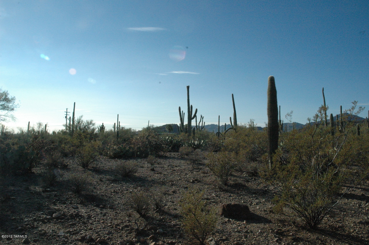6800 North Wade Road Tucson, AZ 85743 - Photo 7 of 24 Gallery Image 7