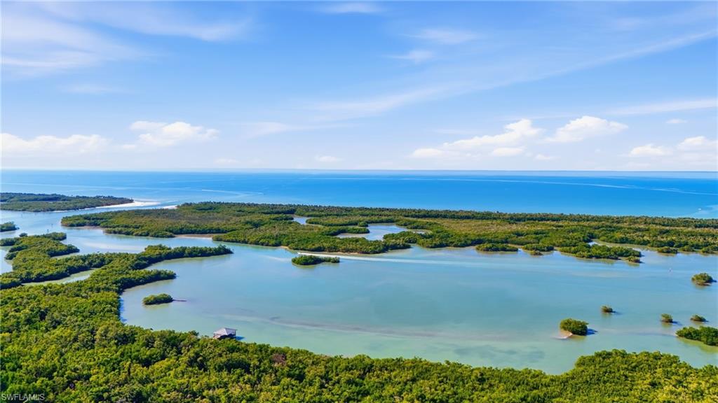 13945 Old Coast Road, Unit 1906 Naples, FL 34110 - Photo 24 of 40 an aerial view of ocean and trees