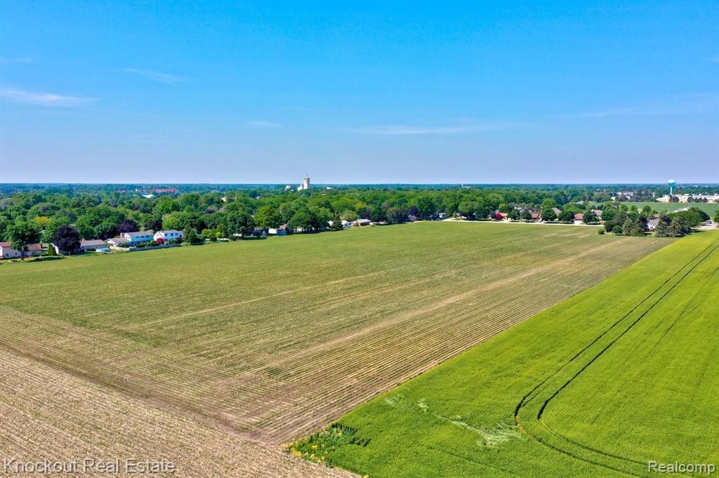 5000 Frank Road Frankenmuth, MI 48734 - Photo 7 of 13