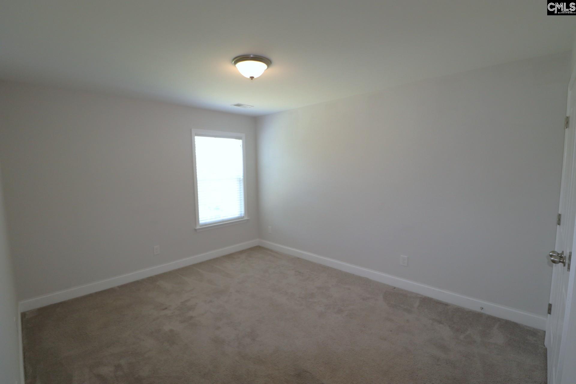 432 Thayer Street Chapin, SC 29036 - Photo 52 of 68