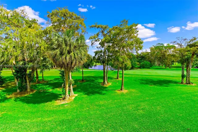 a view of a park with trees