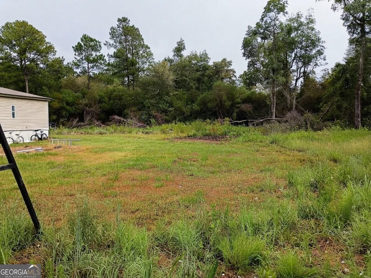 361 James Knight Road Jesup, GA 31545 - Photo 17 of 18 Gallery Image 17