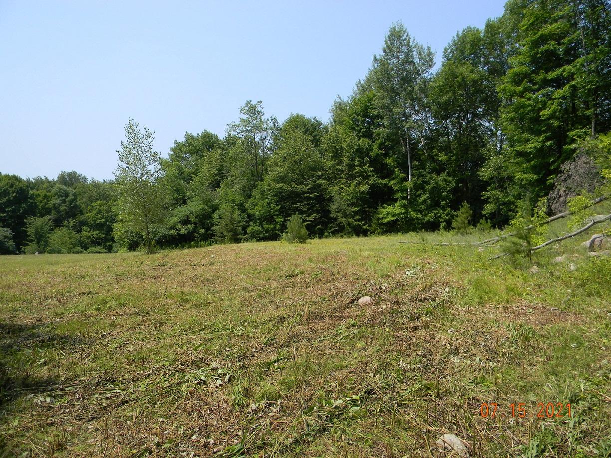 On On Cth F Antigo, WI 54409 - Photo 9 of 21 Gallery Image 9