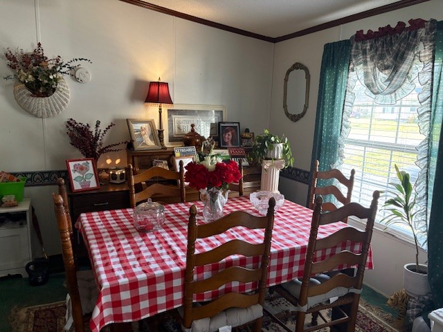 954 Old Belfast Road Lewisburg, TN 37091 - Photo 3 of 5 a view of a dining room with furniture window and outside view