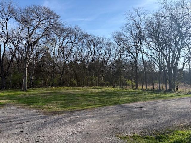954 Old Belfast Road Lewisburg, TN 37091 - Photo 4 of 5 a big yard with trees