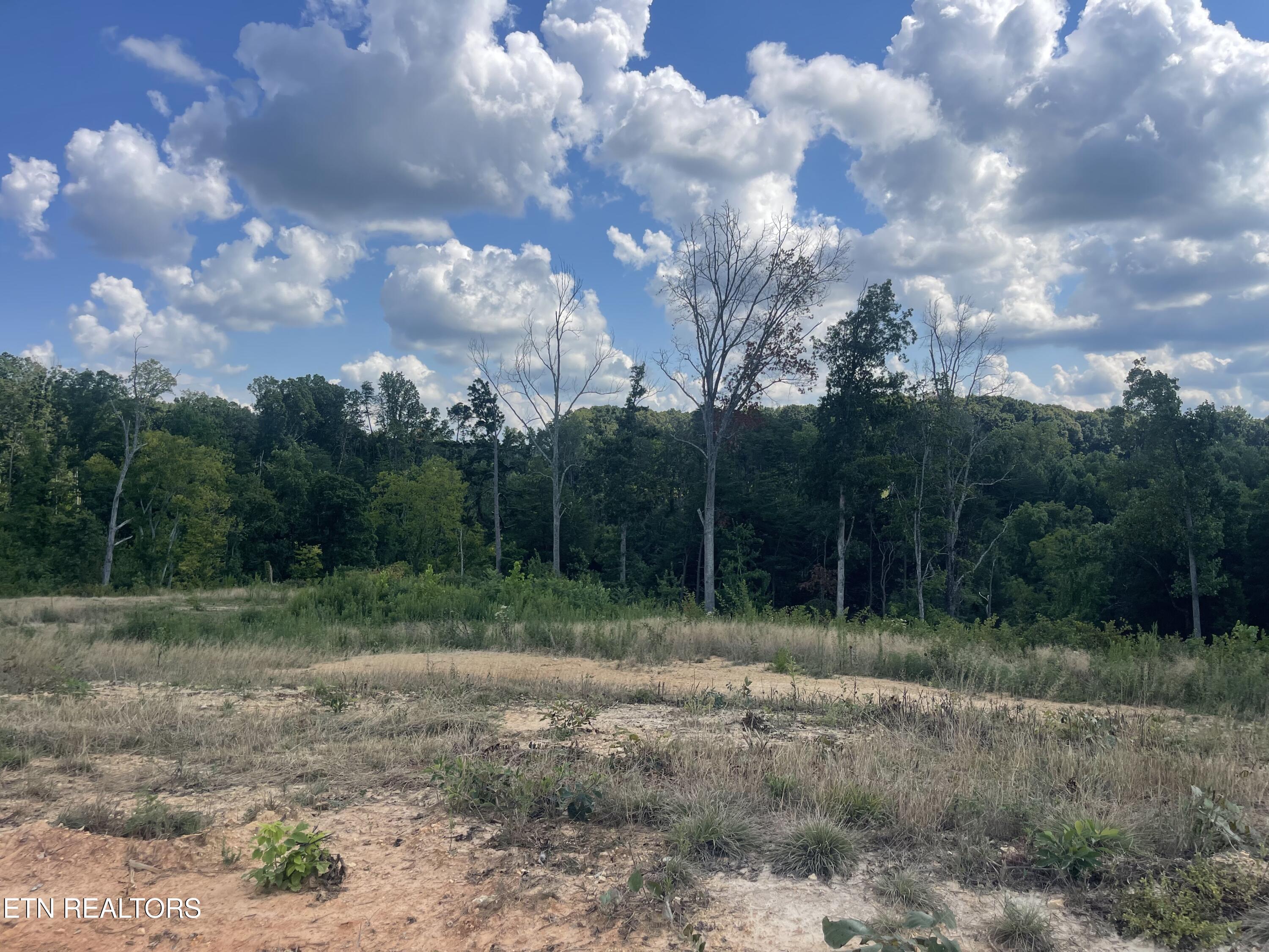 Lot 13 Laura Boling Loop Road Strawberry Plains, TN 37871 - Photo 1 of 1 5D2DAB93-9389-4C8F-BC9A-72EC03953281