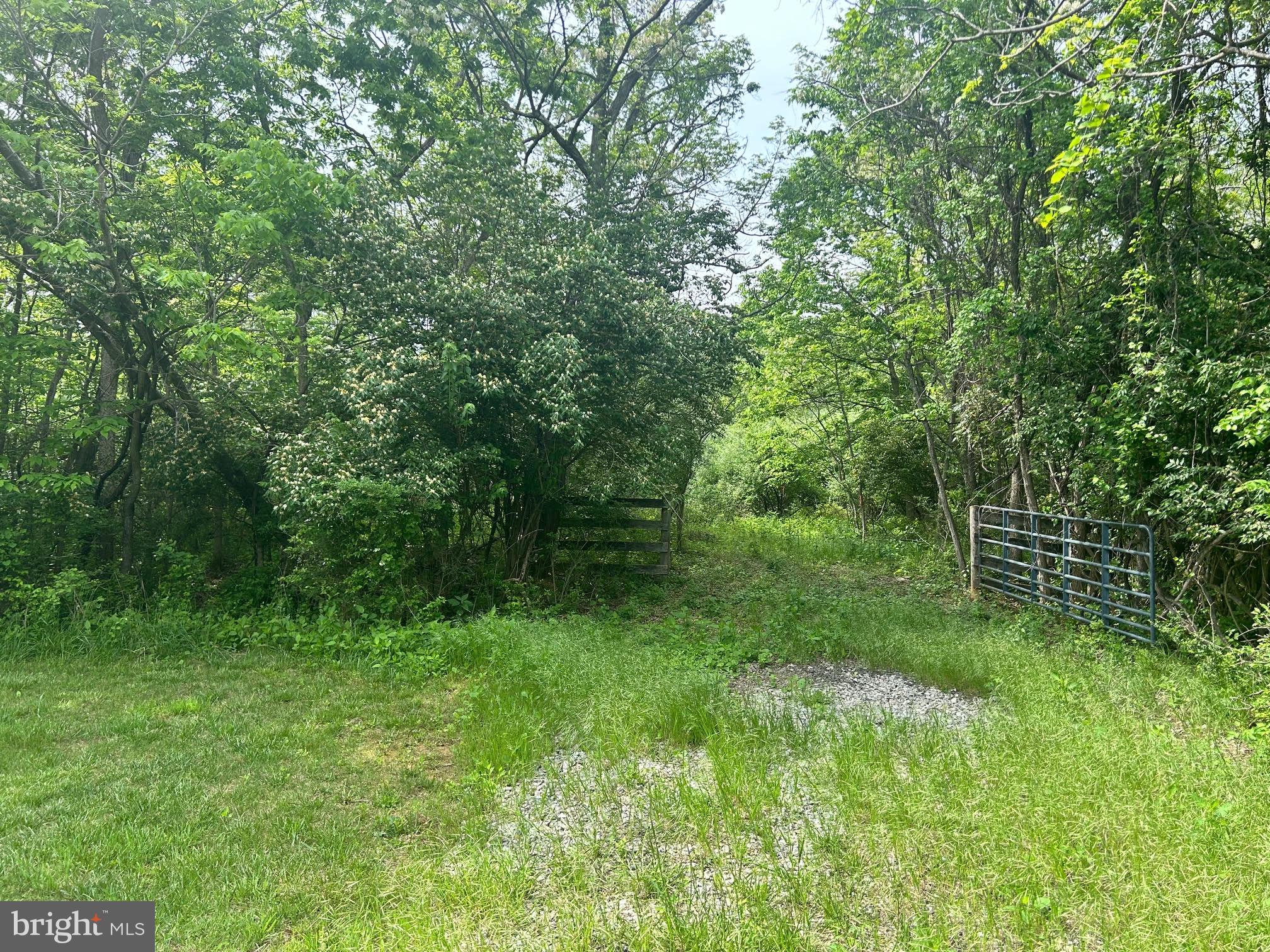 385 Kimble Road Berryville, VA 22611 - Photo 2 of 8