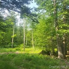 $50,000 | Pine Street, Wurtsboro, NY 12790