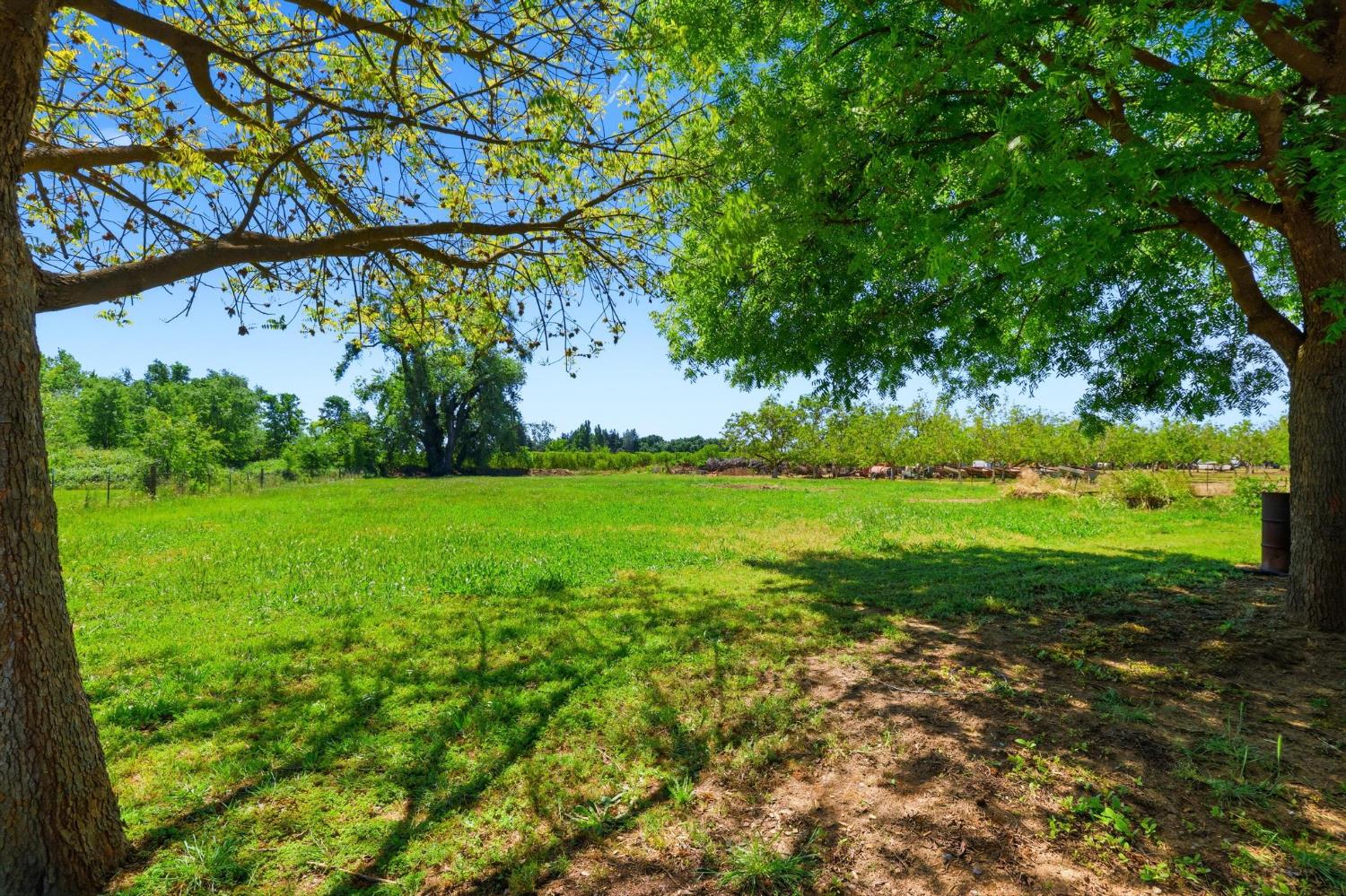 545 Macedo Road Gridley, CA 95948 - Photo 18 of 67