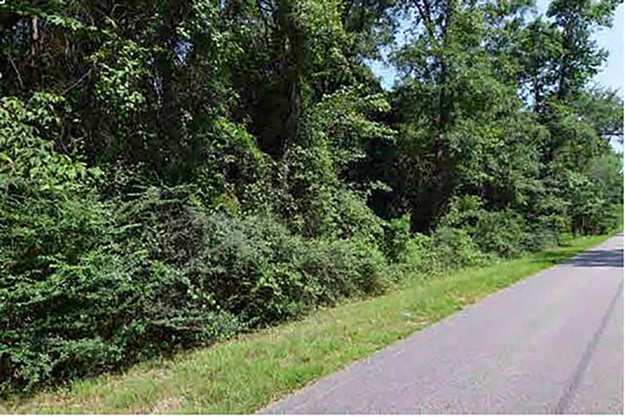 0 Fish River Road Magnolia Springs, AL 36555 - Photo 1 of 1