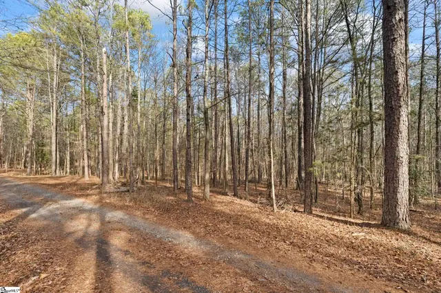 $62,500 | 1747 State Rd S-4-97, Unit LOT 2, Anderson, SC 29621