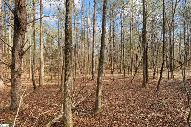 $62,500 | 1747 State Rd S-4-97, Unit LOT 2, Anderson, SC 29621