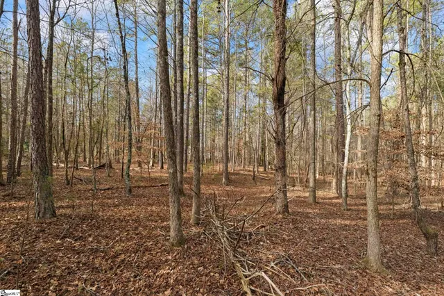 $62,500 | 1747 State Rd S-4-97, Unit LOT 2, Anderson, SC 29621