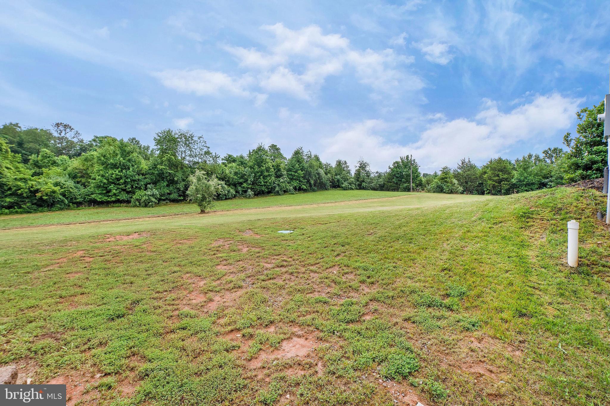 12204 Old Stillhouse Road Boston, VA 22713 - Photo 32 of 39 open and wooded