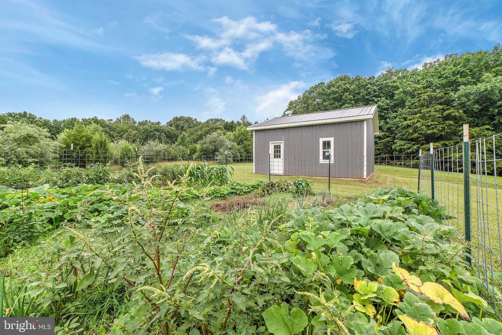 12204 Old Stillhouse Road Boston, VA 22713 - Photo 36 of 39 perfect garden spot