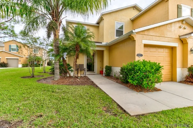 a view of a yard with small plants
