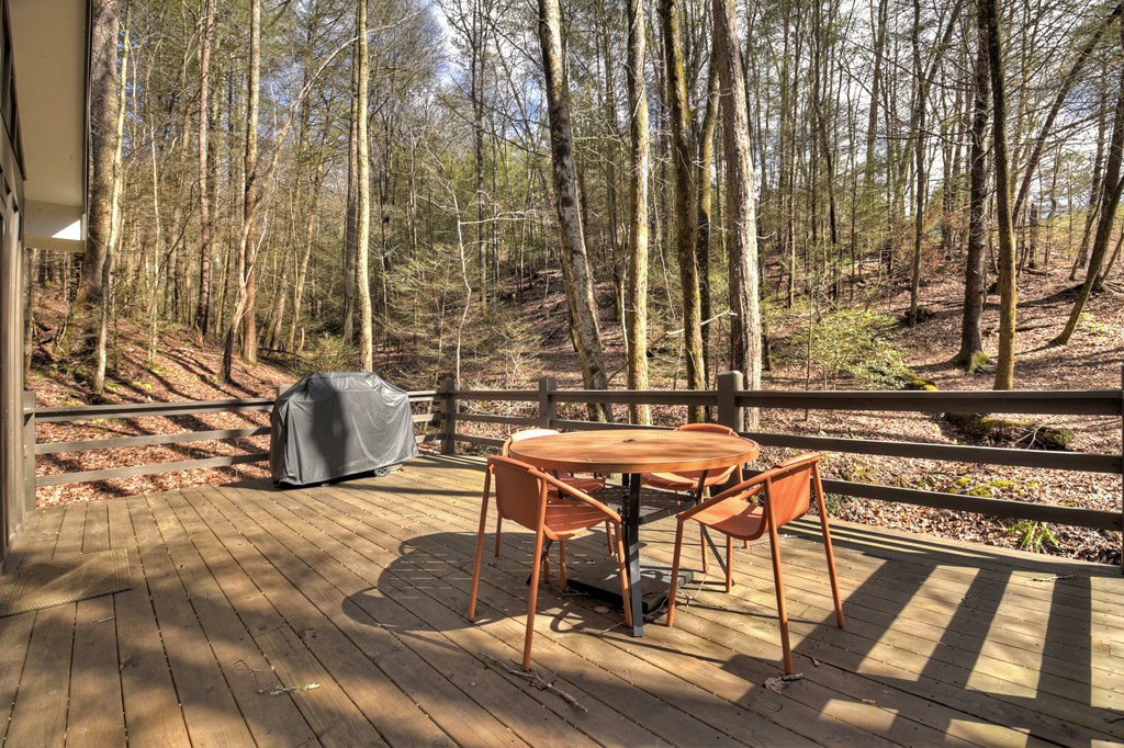 706 Laurel Ridge Drive Blue Ridge, GA 30513 - Photo 22 of 93 Gallery Image 22