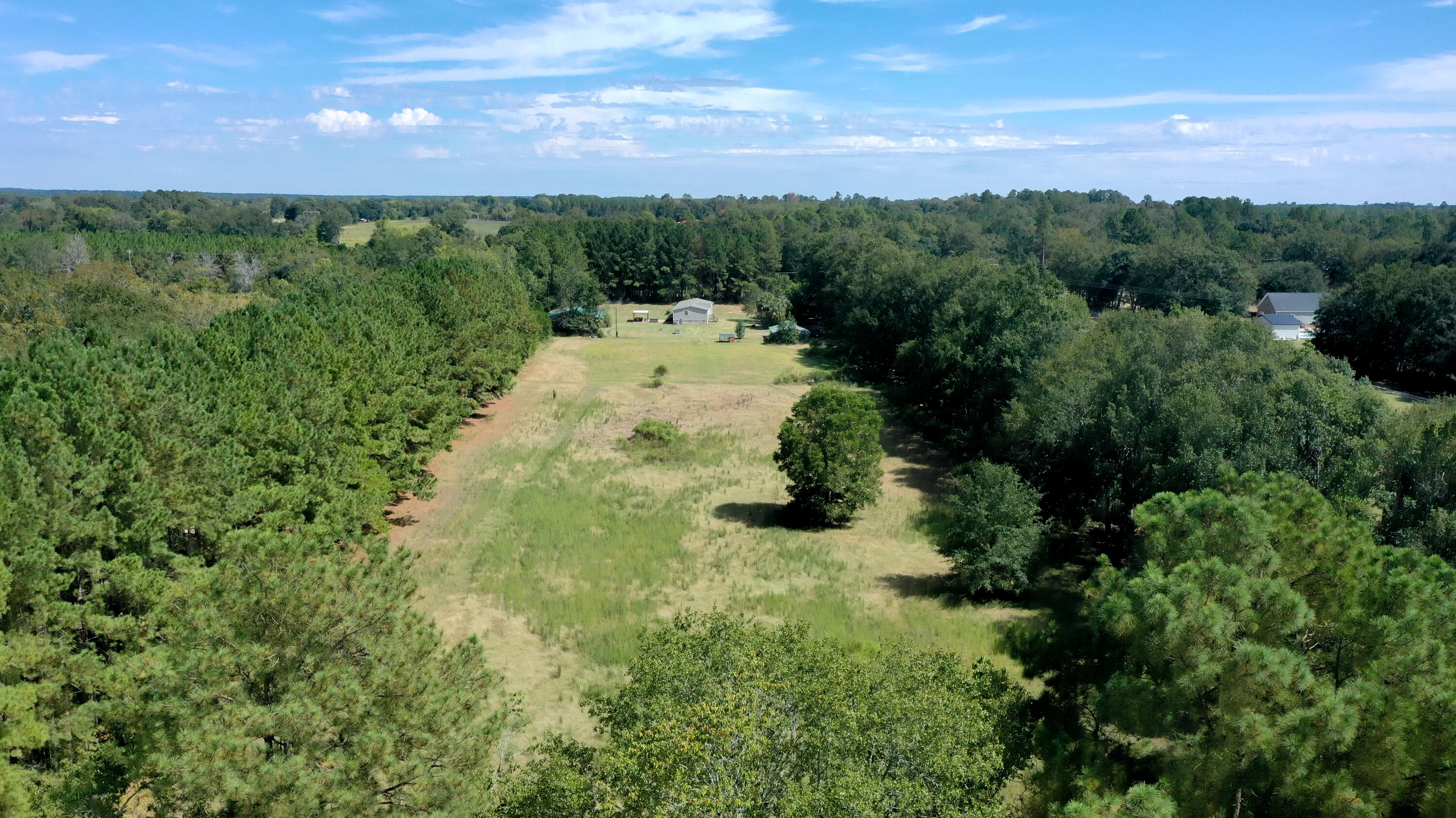 1550 Dove Road Barnwell, SC 29812 - Photo 39 of 45