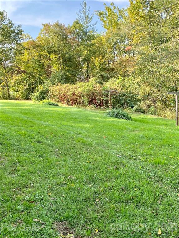 162 Upper Brush Creek Road Fletcher, NC 28732 - Photo 3 of 9 a view of yard with green space and trees all around