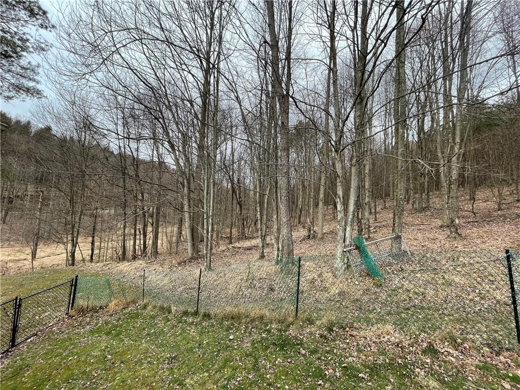 4 Lewis Road Shelocta, PA 15774 - Photo 18 of 18 a backyard of a house with lots of green space