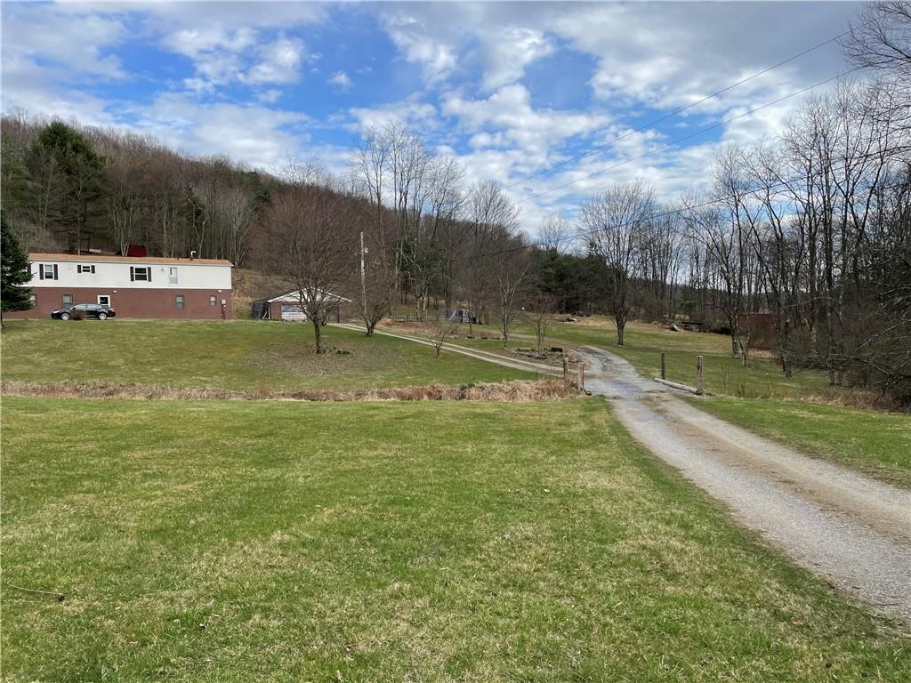 4 Lewis Road Shelocta, PA 15774 - Photo 3 of 18 a view of yard with swimming pool and trees in the background