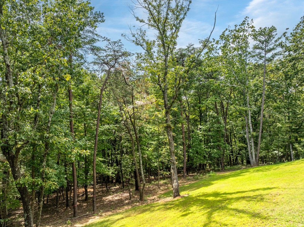297 Greystone Road Talking Rock, GA 30175 - Photo 11 of 71 Gallery Image 11