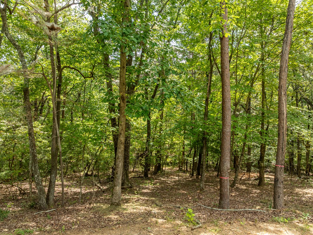 297 Greystone Road Talking Rock, GA 30175 - Photo 13 of 71 Gallery Image 13