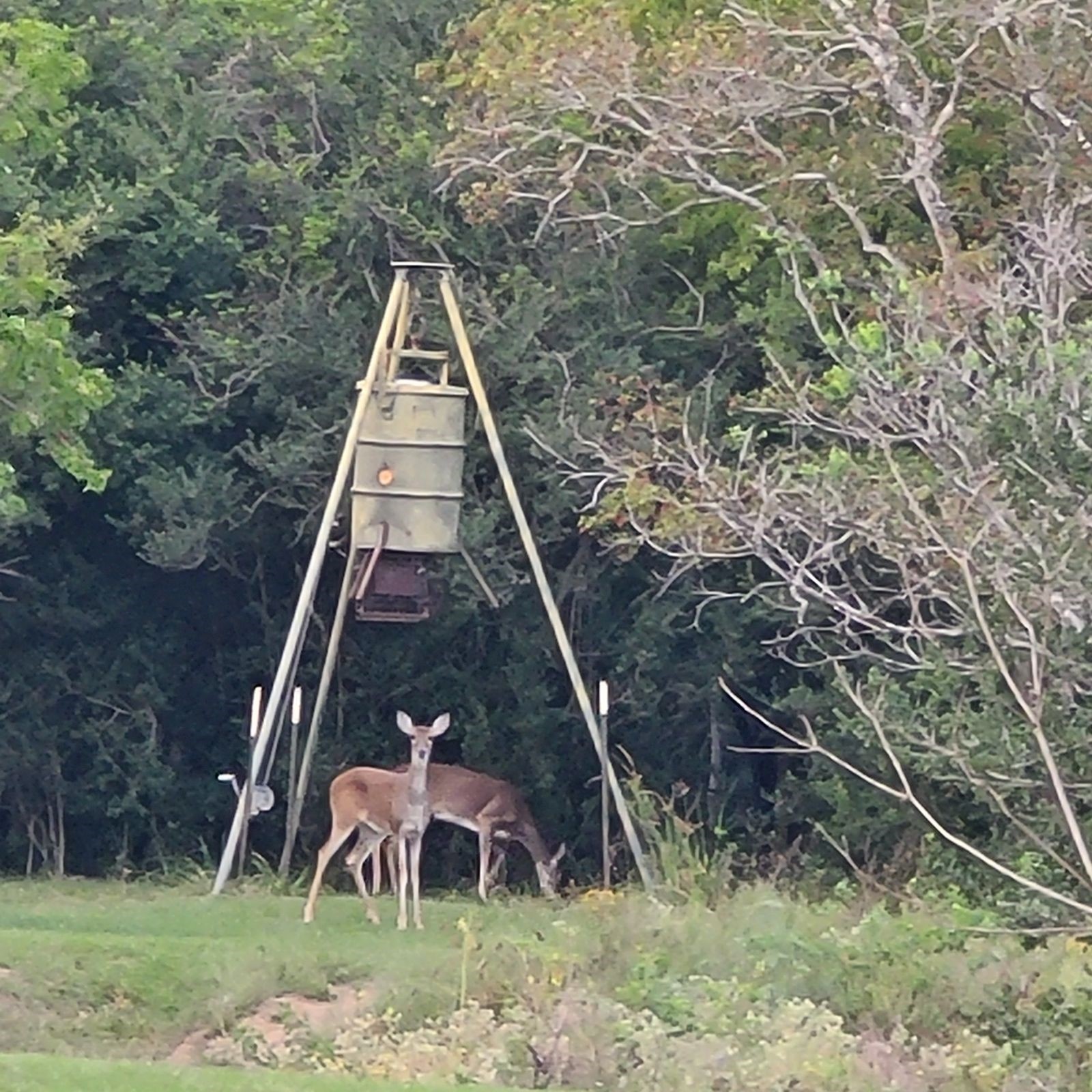 14029 Cochran Road Waller, TX 77484 - Photo 10 of 25
