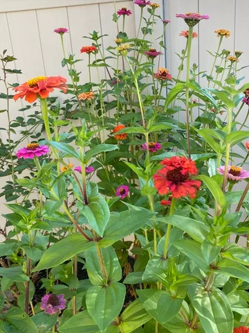 a view of washer and dryer