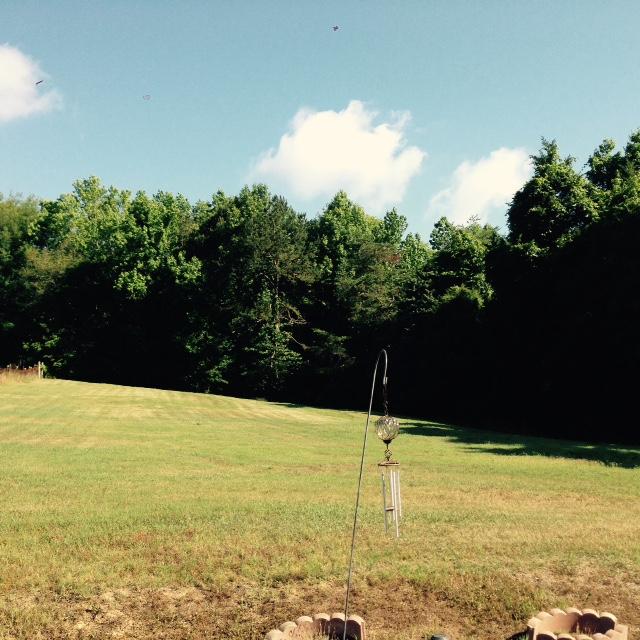 535 Strader Road Powell, TN 37849 - Photo 2 of 26 3 Acres cleared 2 acres wooded