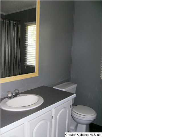 1250 County Road 152 Jemison, AL 35085 - Photo 13 of 22