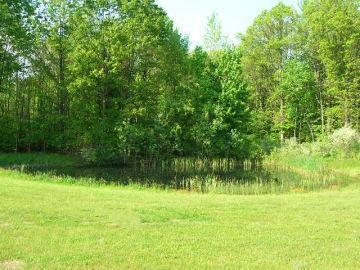 7480 15 Mile Road Northeast Cedar Springs, MI 49319 - Photo 5 of 10 Additional Photo