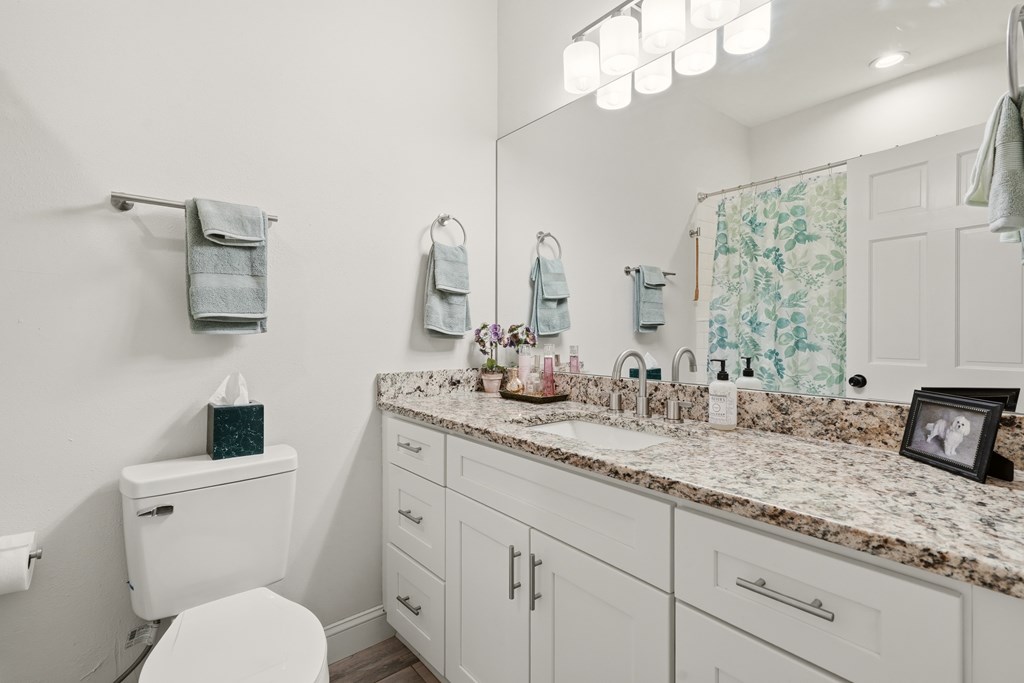 175 Crane Creek Road Young Harris, GA 30582 - Photo 27 of 40 a bathroom with a granite countertop sink a toilet and mirror
