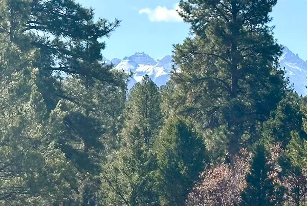 $930,000 | 213 Big Canyon Point, Ridgway, CO 81432