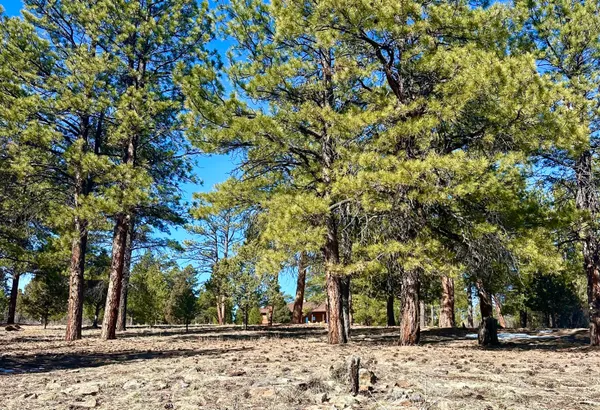 $930,000 | 213 Big Canyon Point, Ridgway, CO 81432