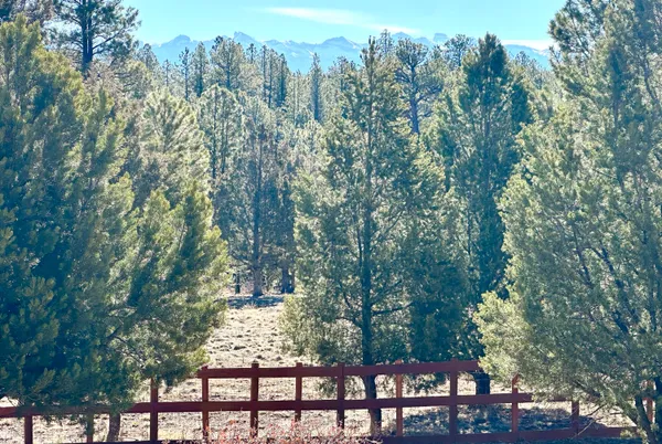 $930,000 | 213 Big Canyon Point, Ridgway, CO 81432