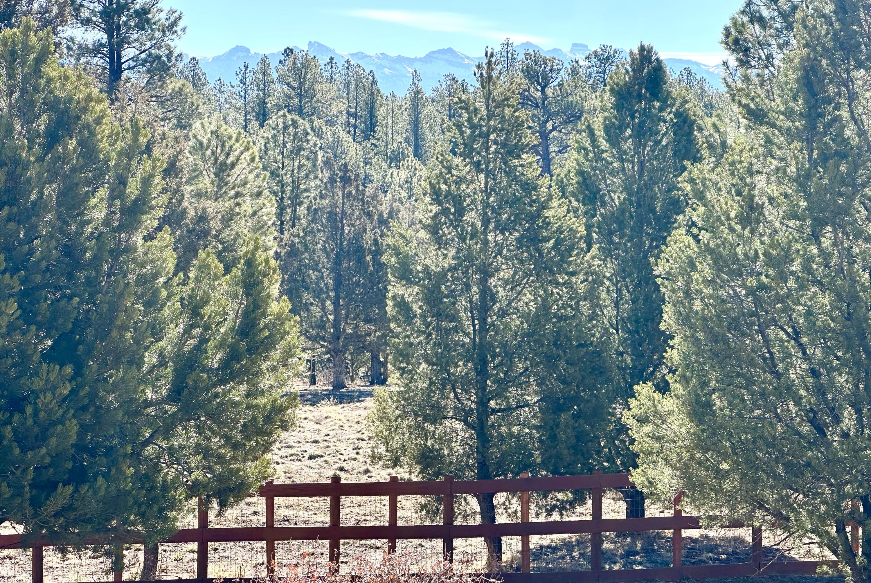 213 Big Canyon Point Ridgway, CO 81432 - Photo 29 of 41 South Views