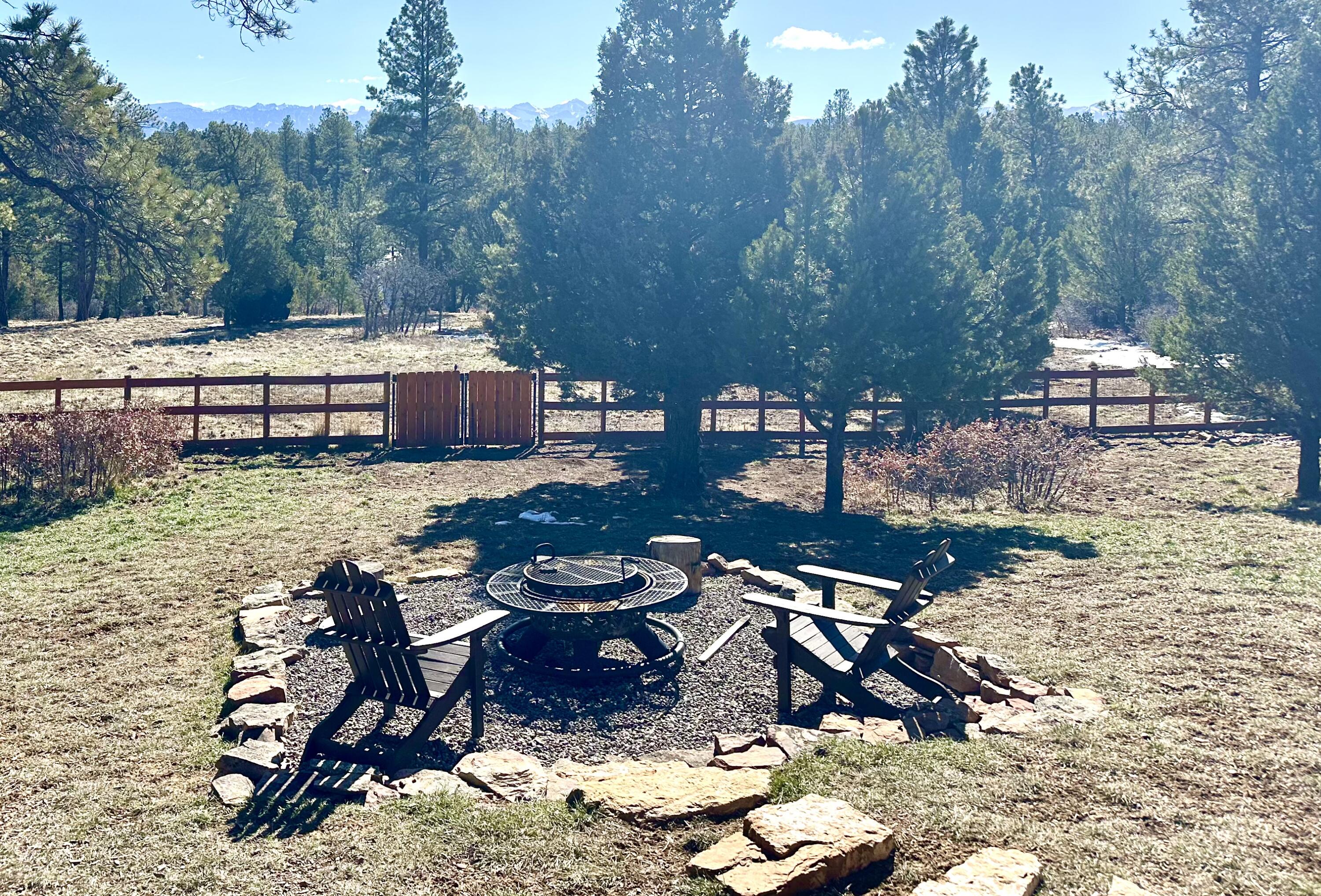 213 Big Canyon Point Ridgway, CO 81432 - Photo 30 of 41 Firepit