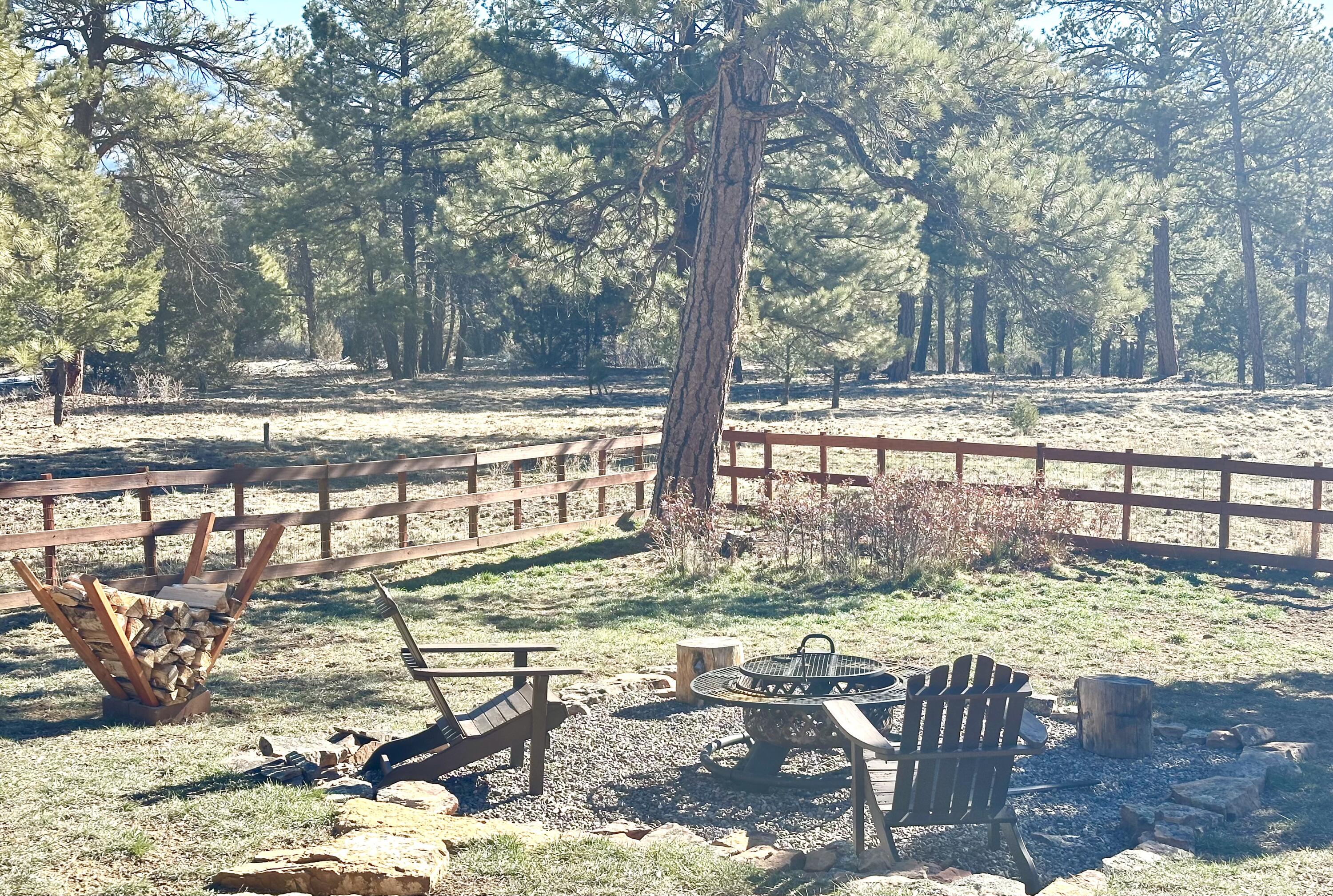 213 Big Canyon Point Ridgway, CO 81432 - Photo 31 of 41 Firepit