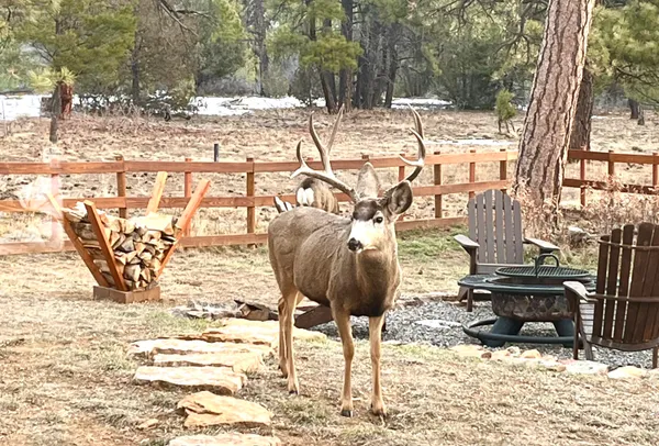 $930,000 | 213 Big Canyon Point, Ridgway, CO 81432