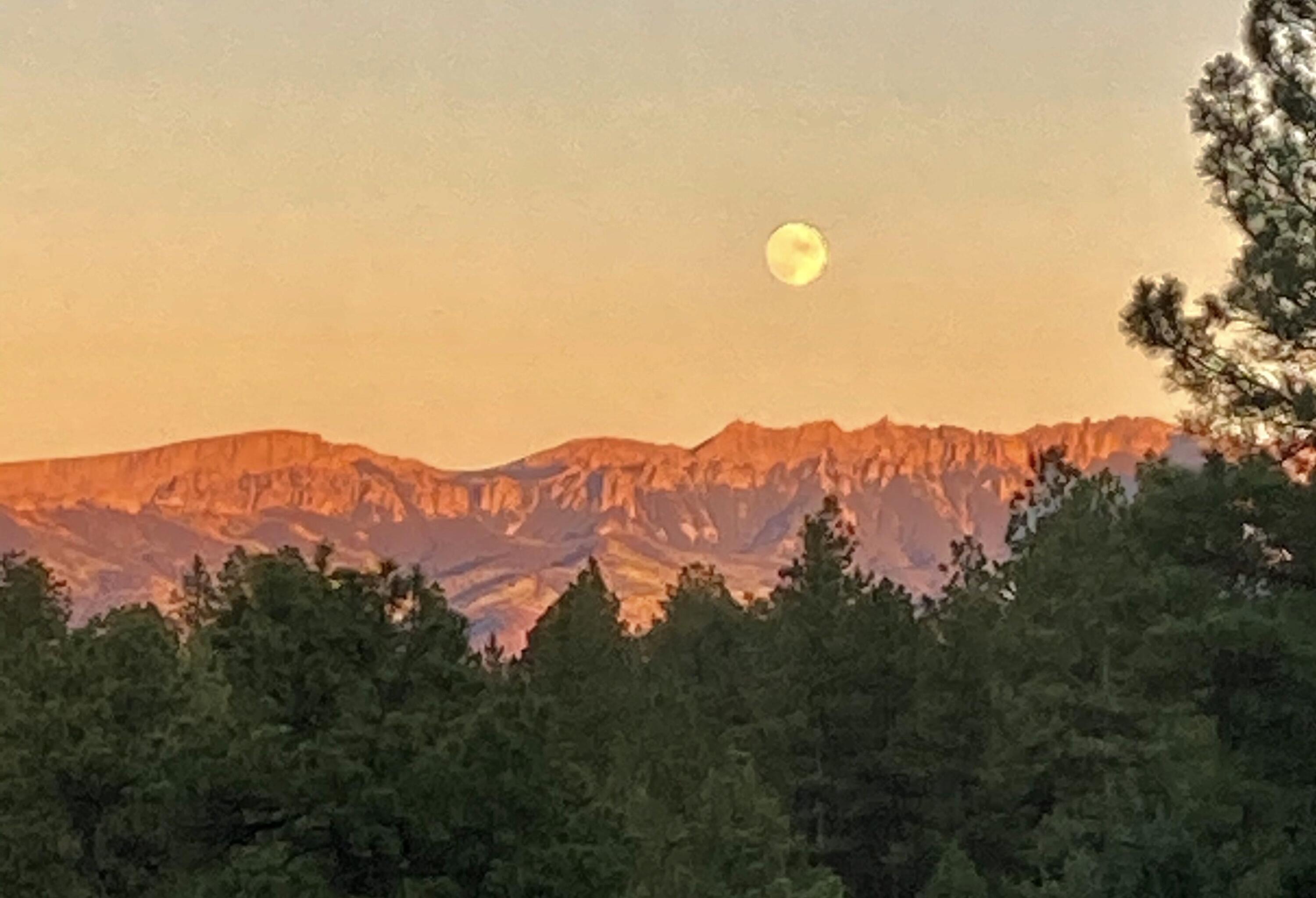 213 Big Canyon Point Ridgway, CO 81432 - Photo 33 of 41 Moon Rising at Sunset