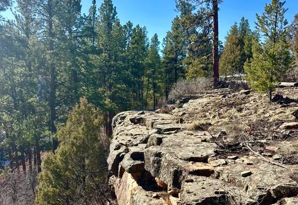 $930,000 | 213 Big Canyon Point, Ridgway, CO 81432